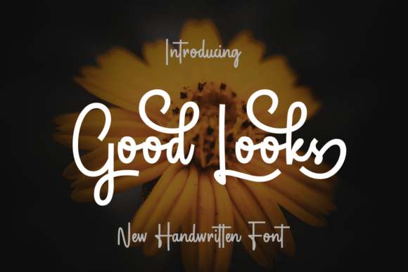 Good Looks: A Bold Script for Graceful Design