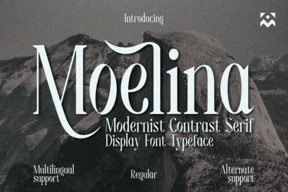 Moelina: Bold Serif Font for Web Design